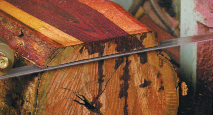 Bi-Metall M42 Mobile Sägewerke Wood Pecker Pro – Bild 2